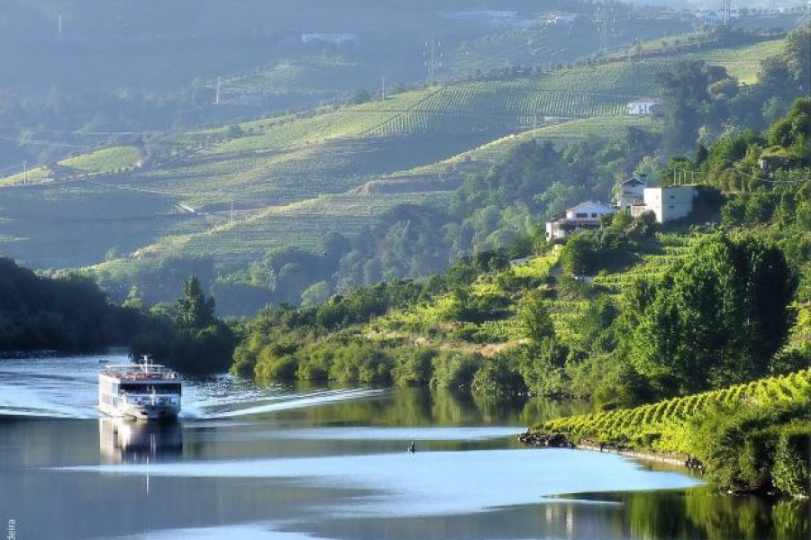 The Douro region