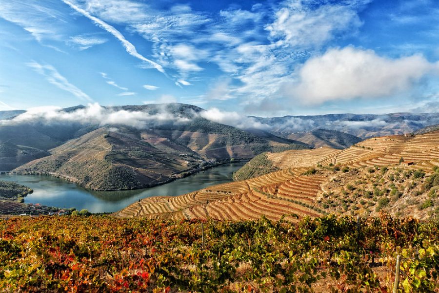 The Douro region